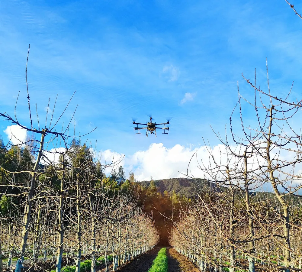 Aplicación aérea de cobre en cerezos para prevenir cáncer bacteriano
