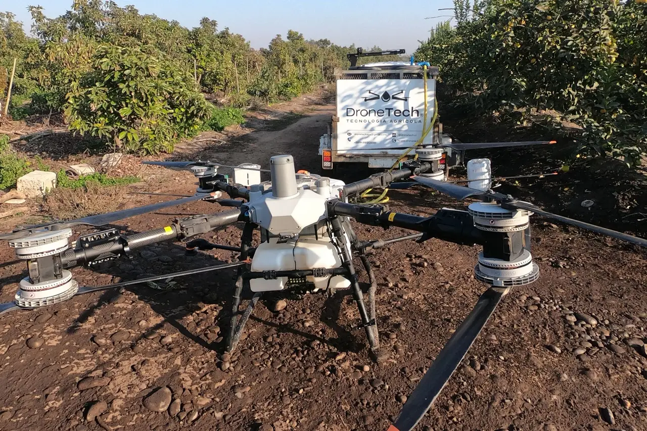 Dron DJI Agras de DroneTech en un huerto de la zona central, con el vehículo de la empresa al fondo